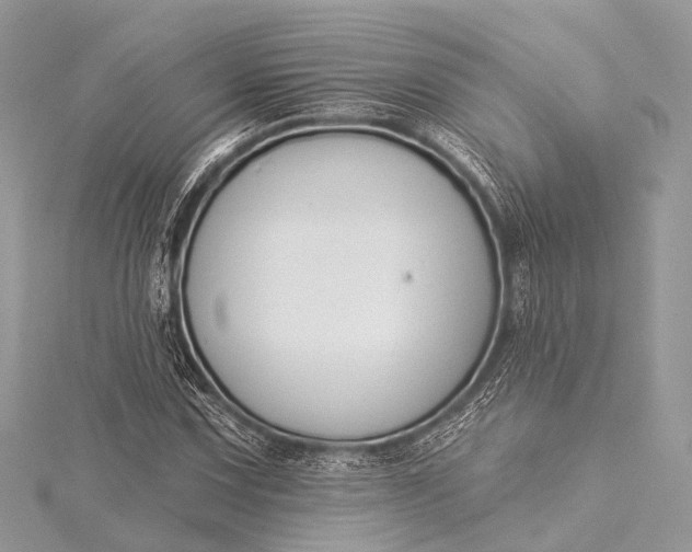 X0000115531067200911201715