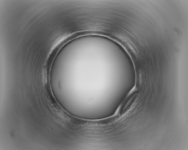 X0000115531069200911201715