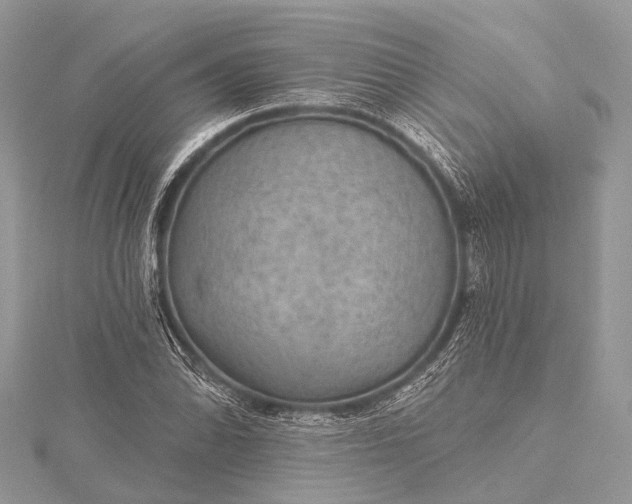 X0000115531070200911201715