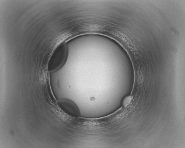 X0000115531073200911201715