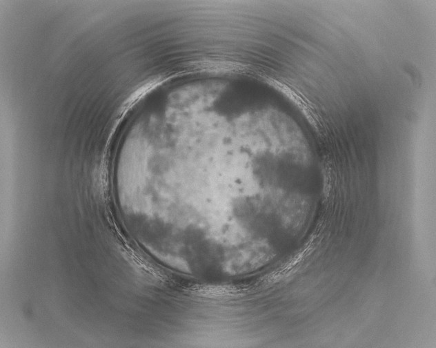 X0000115531074200911201715