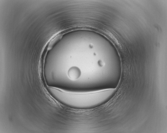 X0000115531076200911201715