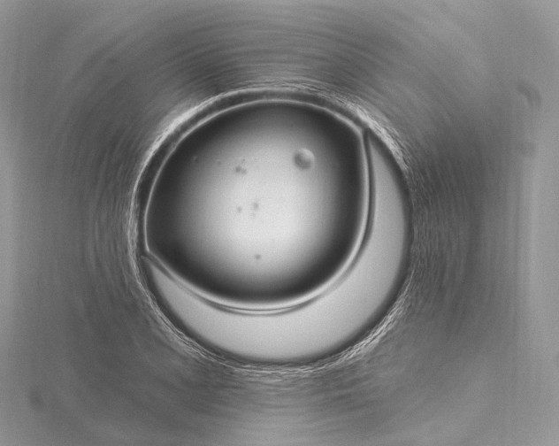 X0000115531077200911201715