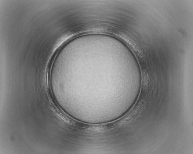 X0000115531078200911201715