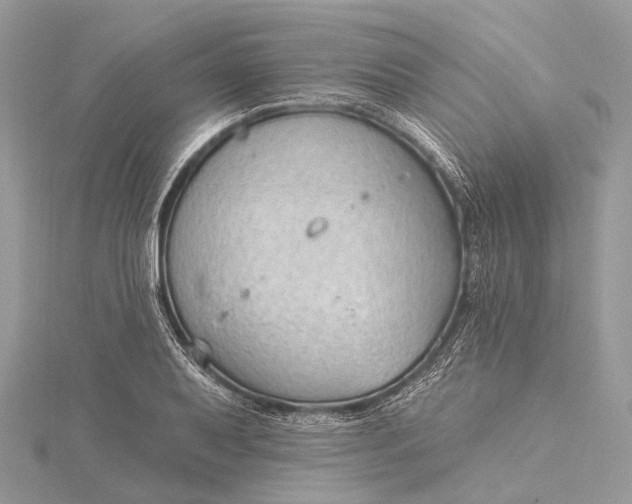 X0000115531079200911201715