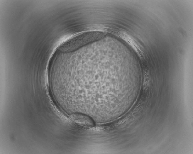 X0000115531080200911201715