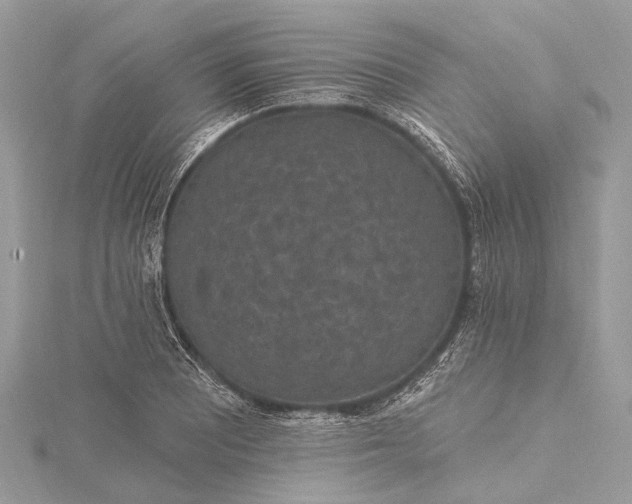 X0000115531081200911201715