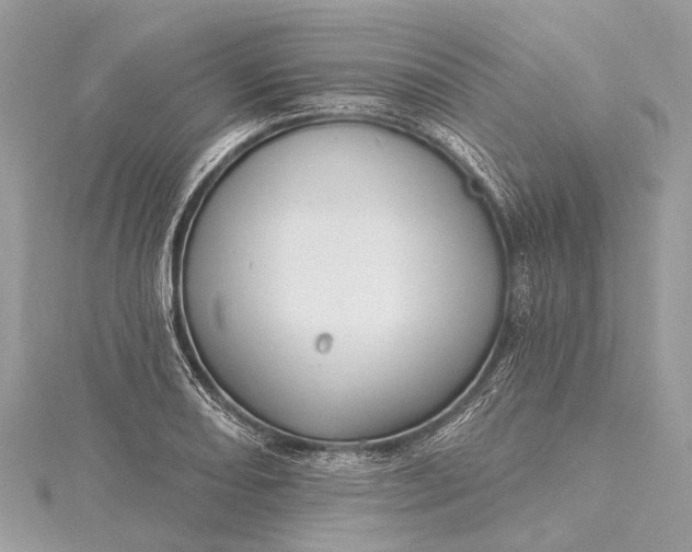 X0000115531082200911201715