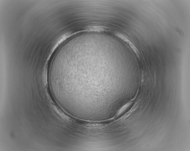 X0000115531083200911201715