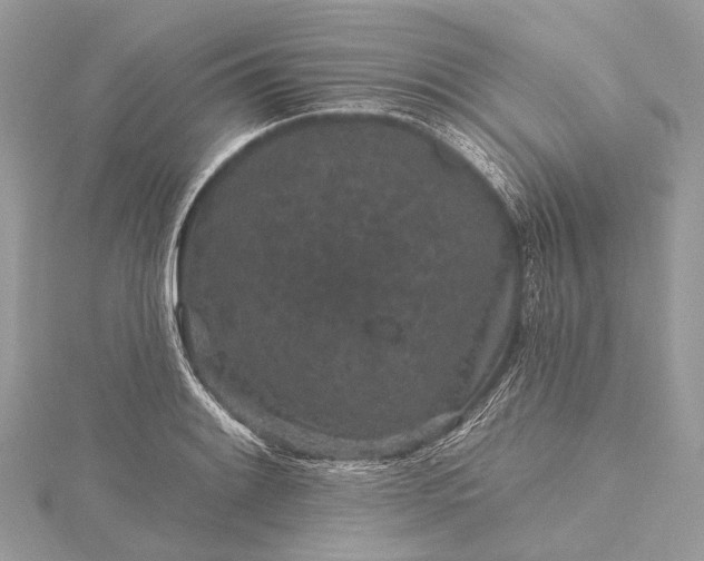 X0000115531084200911201715