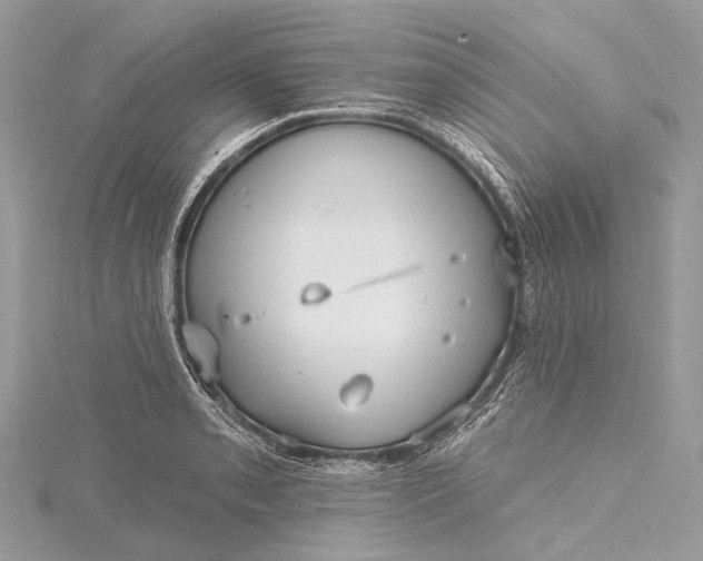 X0000115531085200911201715