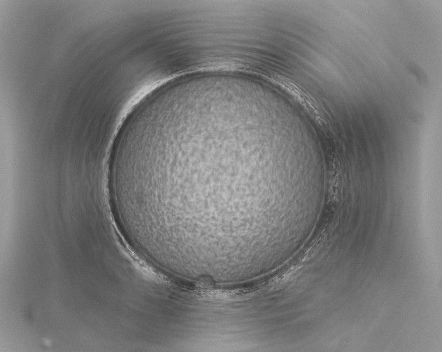 X0000115531086200911201715