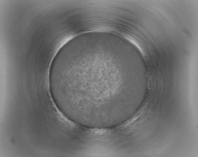 X0000115531087200911201715