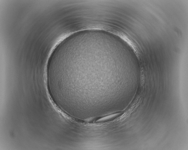 X0000115531088200911201715