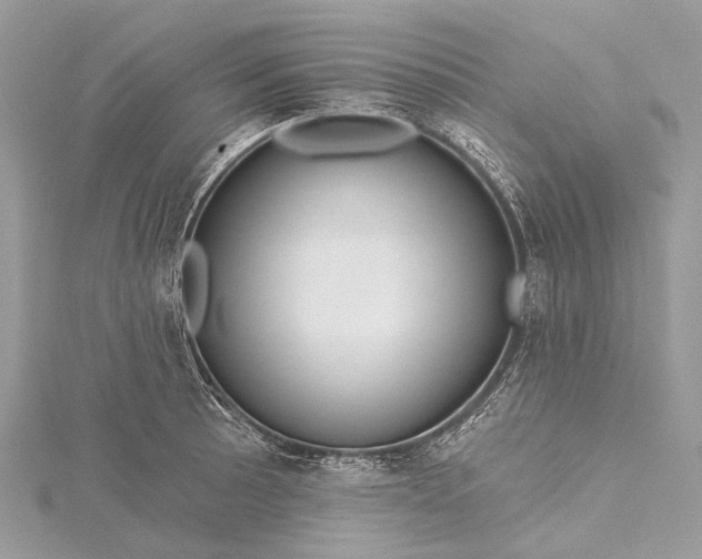 X0000115531089200911201715