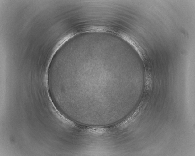 X0000115531090200911201715