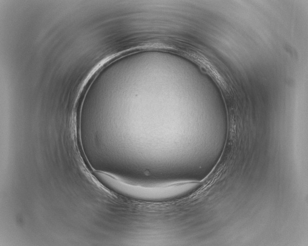 X0000115531092200911201714