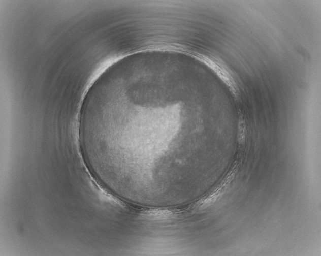 X0000115531094200911201714