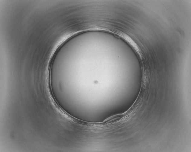 X0000115531096200911201714