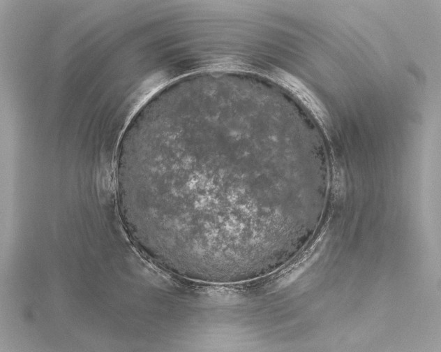 X0000115531097200911201714