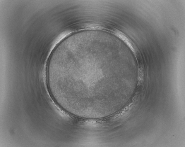 X0000115531098200911201714