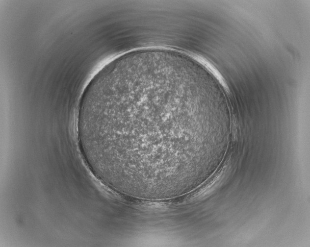 X0000115531101200911201714