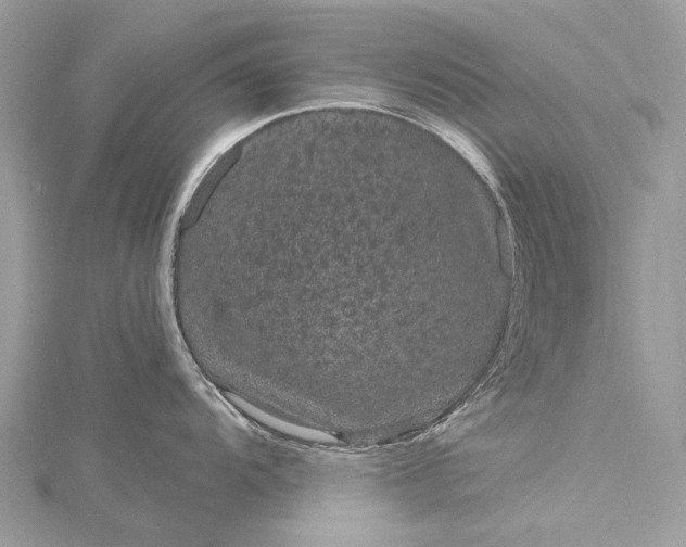 X0000115531104200911201714