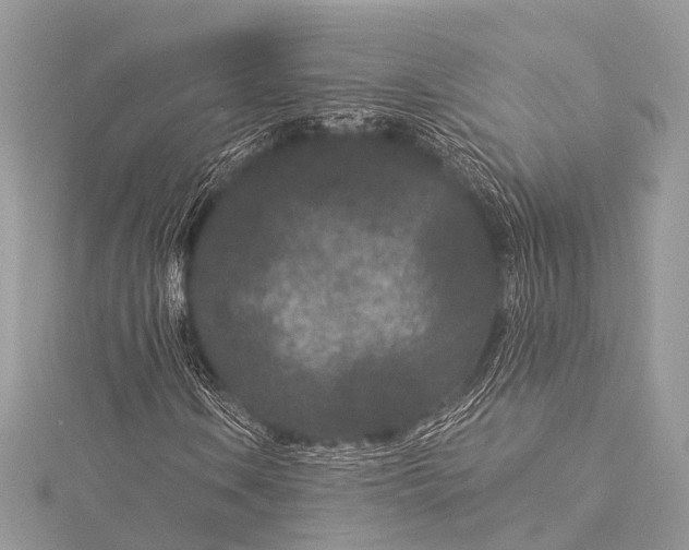 X0000115531106200911201714