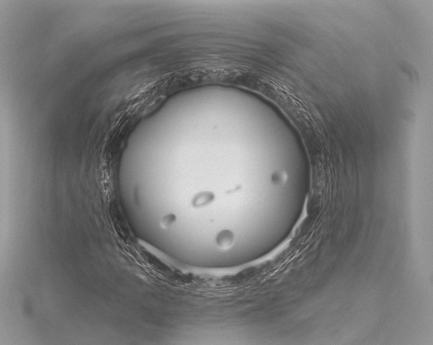 X0000115531109200911201714