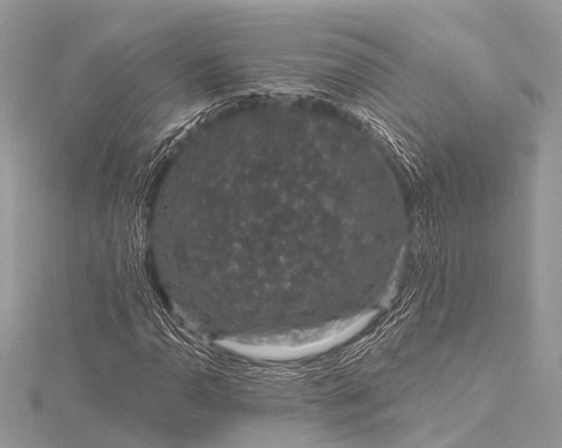 X0000115531110200911201714