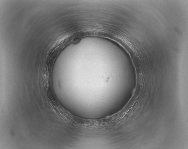 X0000115531111200911201714