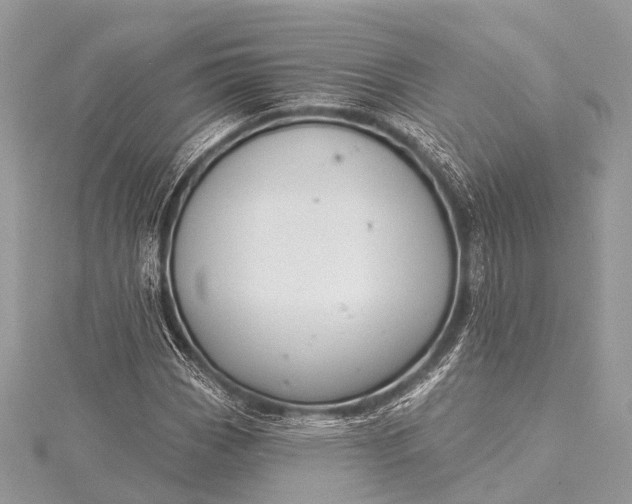 X0000115531113200911201714