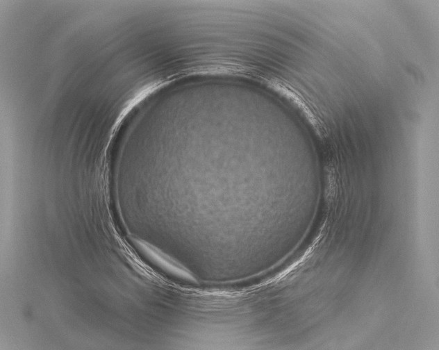 X0000115531114200911201714