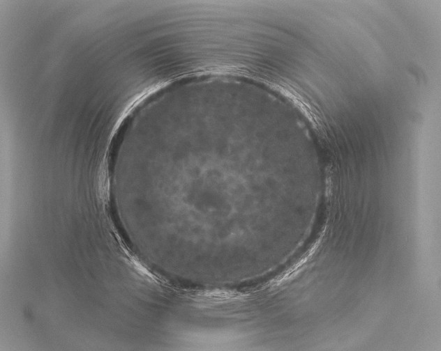 X0000115531117200911201714