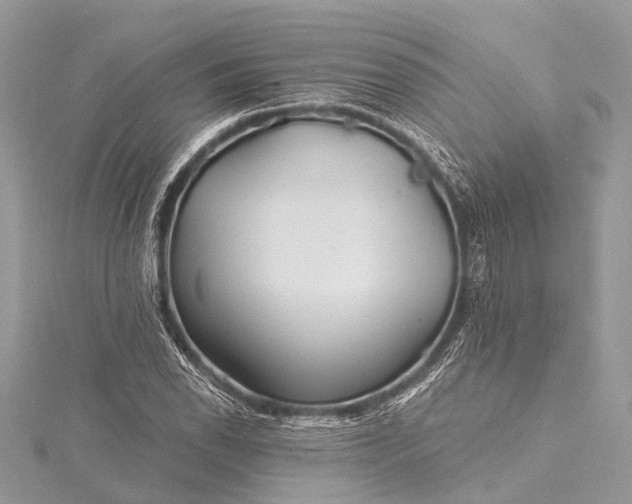 X0000115531118200911201714