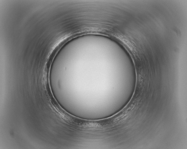 X0000115531119200911201714