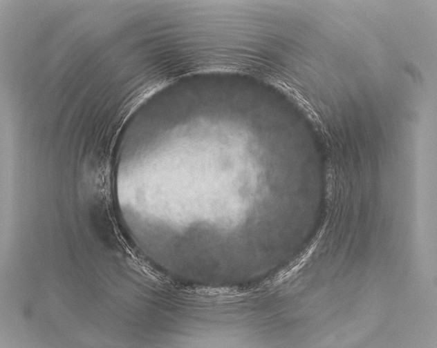 X0000115531121200911201714