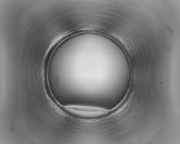 X0000115531122200911201714