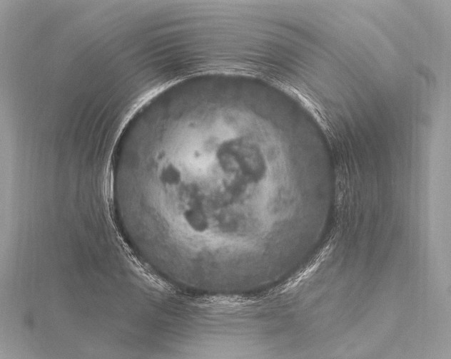 X0000115531125200911201714