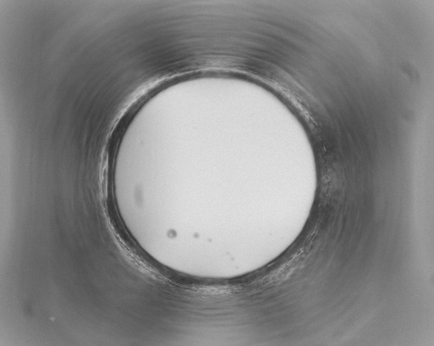 X0000115531126200911201714