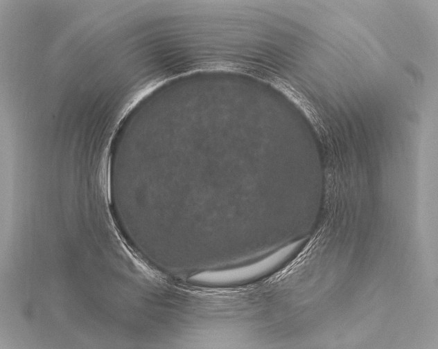 X0000115531127200911201714