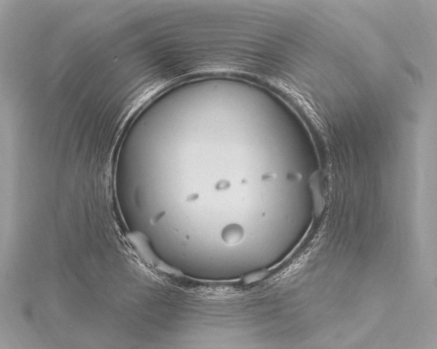 X0000115531129200911201714