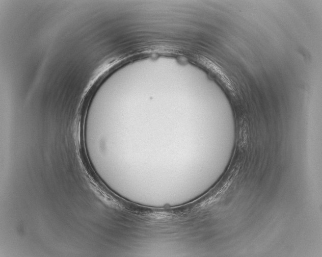 X0000115531130200911201714