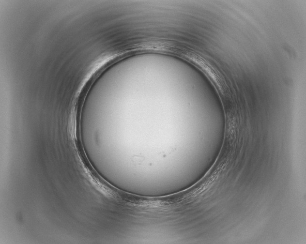 X0000115531131200911201714