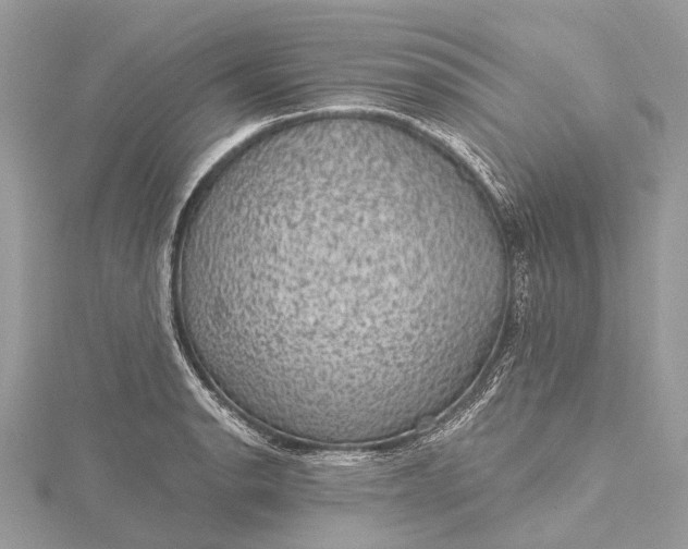 X0000115531134200911201714