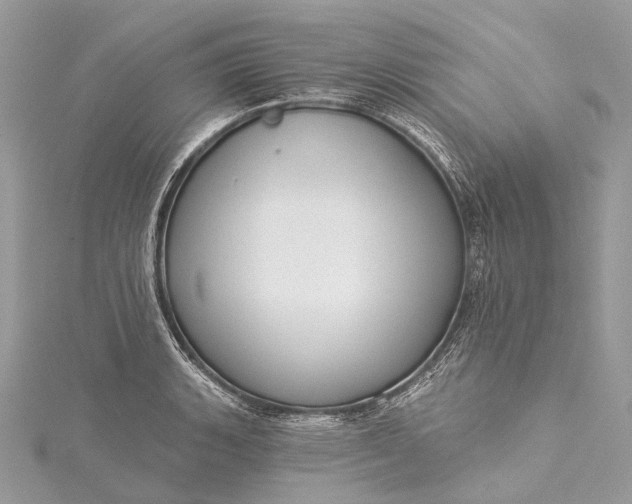 X0000115531135200911201714