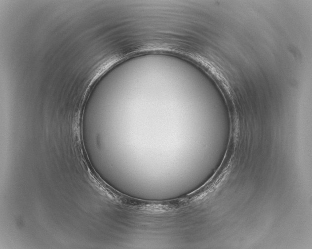 X0000115531137200911201714