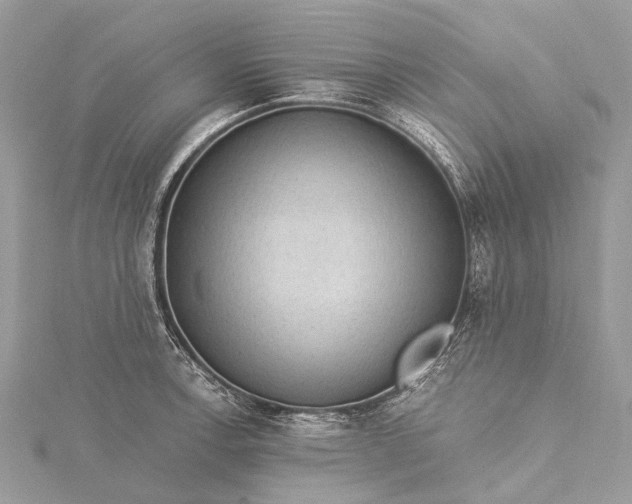 X0000115531138200911201714