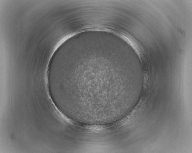 X0000115531141200911201714