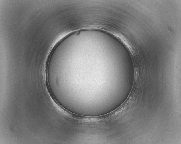 X0000115531143200911201714